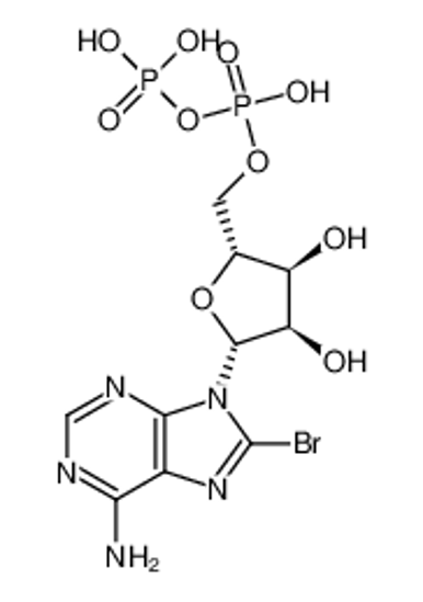 Picture of 8-bromoadenosine 5'-diphosphate