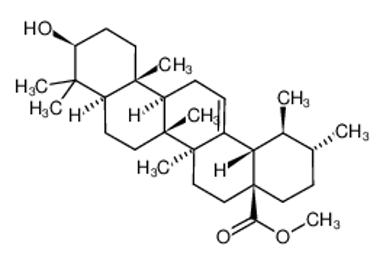 Picture of URSOLIC ACID METHYL ESTER
