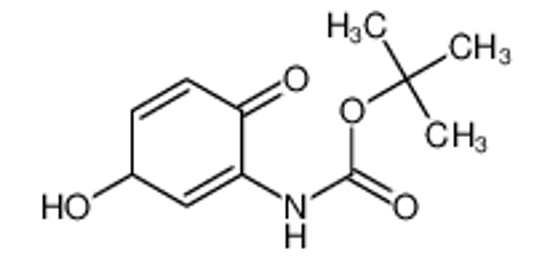 Picture of Carbamic acid, (3-hydroxy-6-oxo-1,4-cyclohexadien-1-yl)-, 1,1-dimethylethyl ester (9CI)