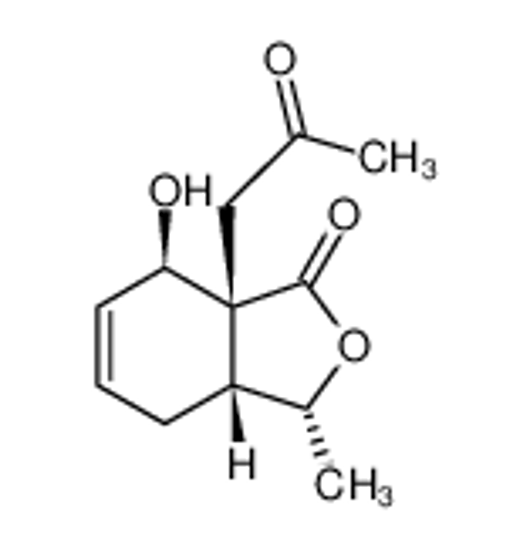 Picture of 1(3H)-Isobenzofuranone,3a,4,7,7a-tetrahydro-7-hydroxy-3-methyl-7a-(2-oxopropyl)-,(3R,3aR,7R,7aR)-(9CI)