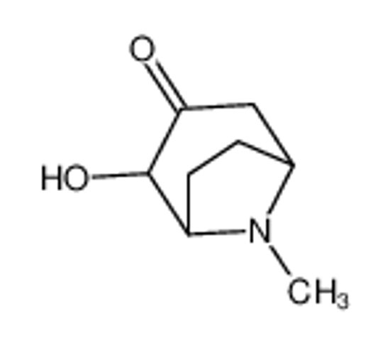Picture of 8-Azabicyclo[3.2.1]octan-3-one,2-hydroxy-8-methyl-,endo-(9CI)