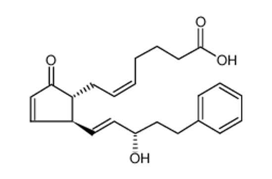 Imagem de 17-PHENYL TRINOR PROSTAGLANDIN A2