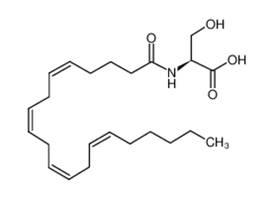 Picture of (2S)-3-hydroxy-2-(icosa-5,8,11,14-tetraenoylamino)propanoic acid