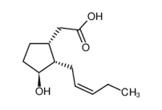 Picture of (+)-cucurbic acid