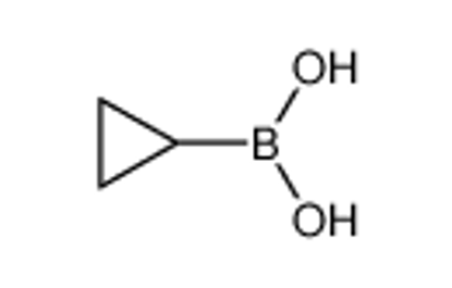 Show details for Cyclopropylboronic acid