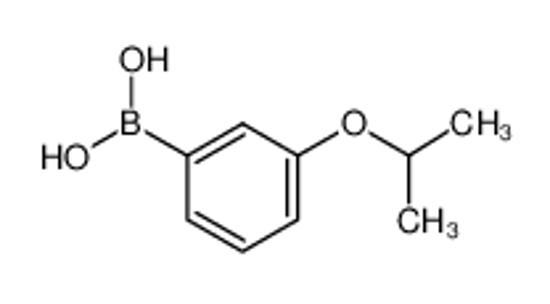 Picture of 3-Isopropoxyphenylboronic acid