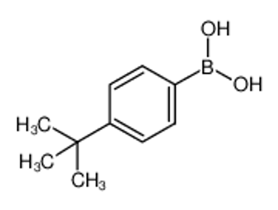 Picture of 4-tert-Butylphenylboronic acid
