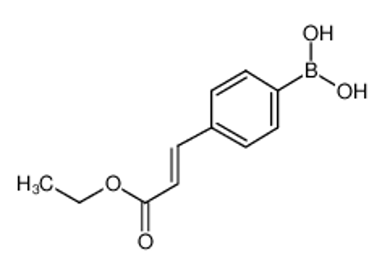 Изображение 4-(E-3-Ethoxy-3-oxo-1-propen-1-yl)phenylboronic acid