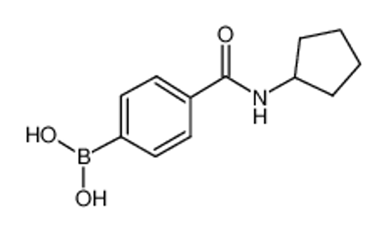 Picture of 4-(Cyclopentylaminocarbonyl)phenylboronic acid