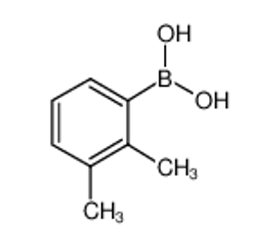 Picture of (2,3-dimethylphenyl)boronic acid