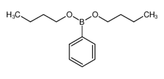Picture of dibutoxy(phenyl)borane