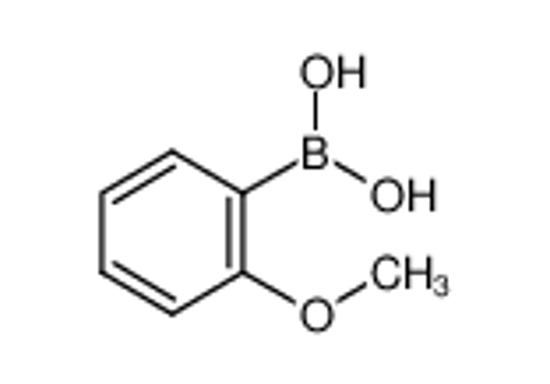 Picture of 2-Methoxyphenylboronic acid