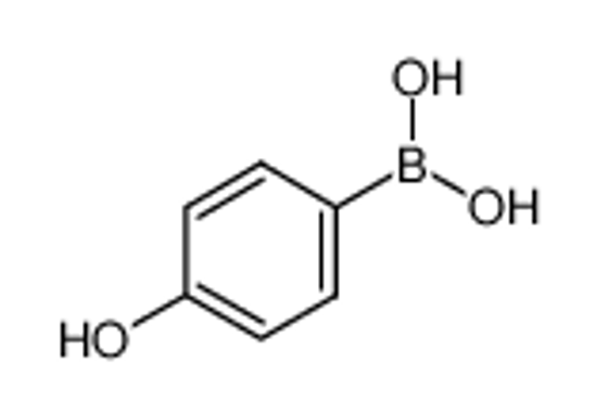 Изображение 4-Hydroxyphenylboronic acid
