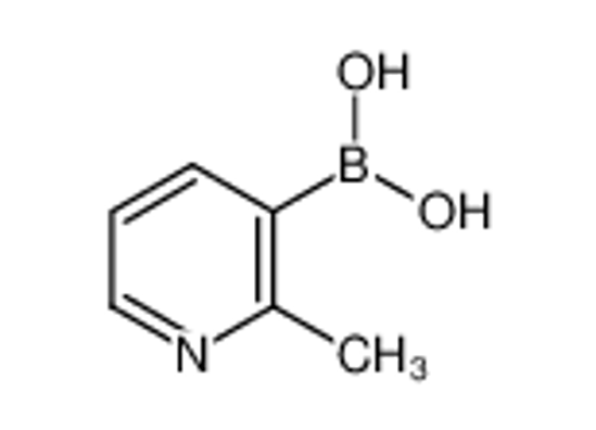 Picture of 2-Picoline-5-boronic acid