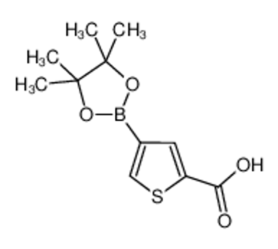 Изображение 4-(4,4,5,5-Tetramethyl-1,3,2-dioxaborolan-2-yl)thiophene-2-carboxylic acid
