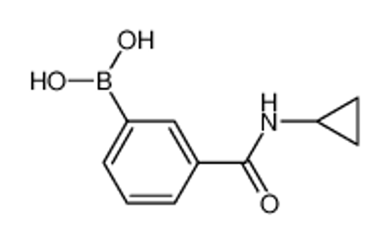 Picture of (3-(Cyclopropylcarbamoyl)phenyl)boronic acid