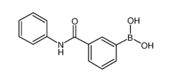 Picture of (3-(Phenylcarbamoyl)phenyl)boronic acid