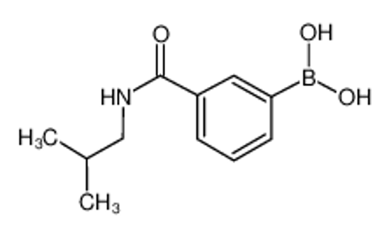 Picture of (3-(Isobutylcarbamoyl)phenyl)boronic acid