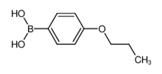 Picture of (4-propoxyphenyl)boronic acid