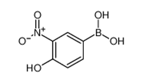 Picture of (4-hydroxy-3-nitrophenyl)boronic acid