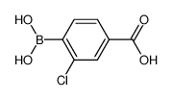 Picture of 4-Carboxy-2-Chlorophenylboronic Acid