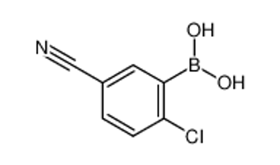 Picture of 2-Chloro-5-cyanophenylboronic acid