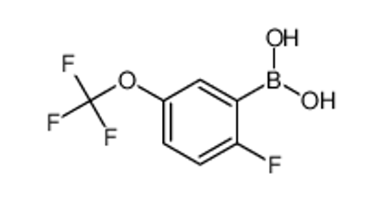 Picture of [2-fluoro-5-(trifluoromethoxy)phenyl]boronic acid