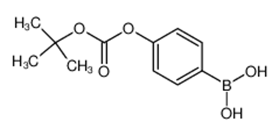 Picture of [4-[(2-methylpropan-2-yl)oxycarbonyloxy]phenyl]boronic acid