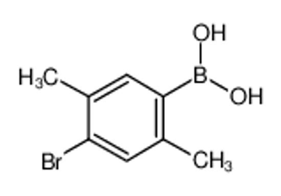 Picture of (4-bromo-2,5-dimethylphenyl)boronic acid
