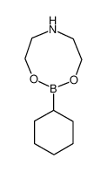 Picture of 2-cyclohexyl-1,3,6,2-dioxazaborocane