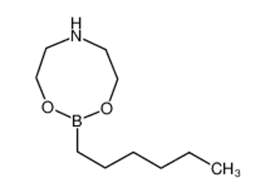 Picture of 2-Hexyl-1,3,6,2-dioxazaborocane