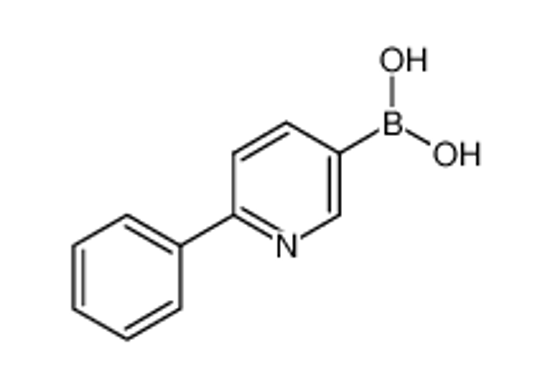 Picture of (6-phenylpyridin-3-yl)boronic acid