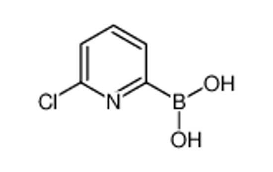 Picture of (6-chloropyridin-2-yl)boronic acid