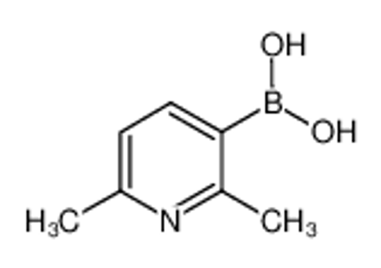 Picture of (2,6-dimethylpyridin-3-yl)boronic acid