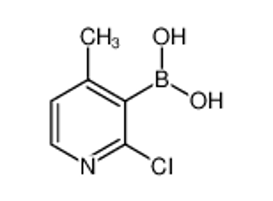 Picture of (2-chloro-4-methylpyridin-3-yl)boronic acid