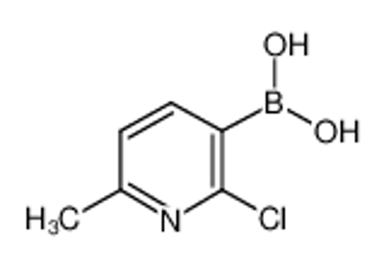 Picture of (2-Chloro-6-methylpyridin-3-yl)boronic acid