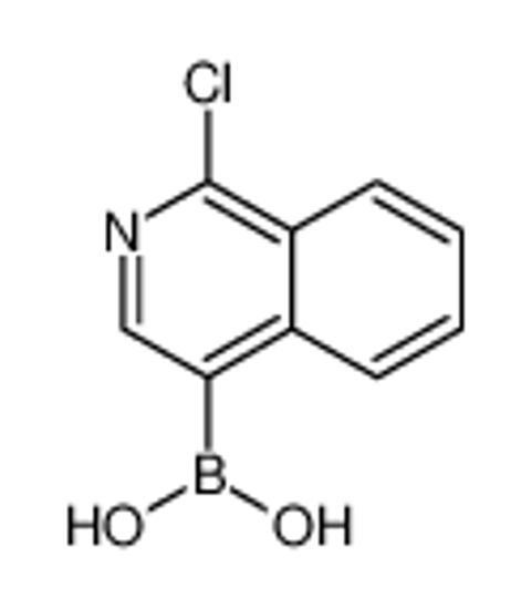 Picture of (1-chloroisoquinolin-4-yl)boronic acid