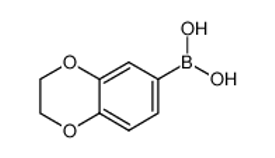 Picture of 1,4-Benzodioxane-6-boronic acid