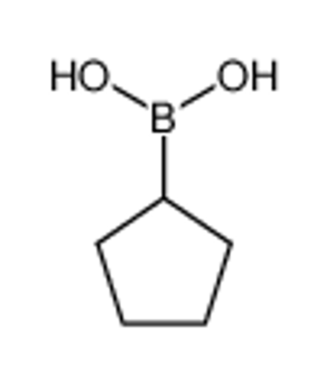 Picture of Cyclopentylboronic acid