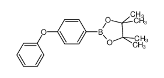 Picture of 4,4,5,5-tetramethyl-2-(4-phenoxyphenyl)-1,3,2-dioxaborolane
