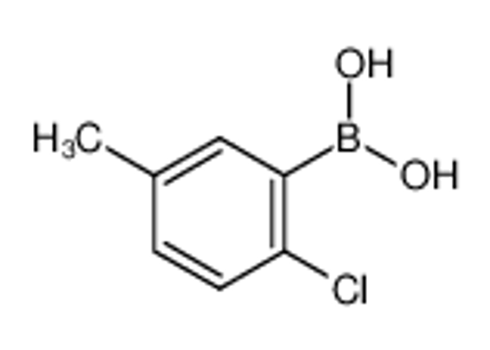 Picture of (2-chloro-5-methylphenyl)boronic acid