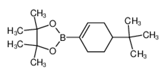 Picture of 2-(4-tert-butylcyclohexen-1-yl)-4,4,5,5-tetramethyl-1,3,2-dioxaborolane