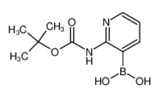 Picture of [2-[(2-methylpropan-2-yl)oxycarbonylamino]pyridin-3-yl]boronic acid