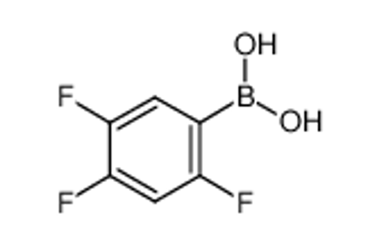 Picture of (2,4,5-trifluorophenyl)boronic acid