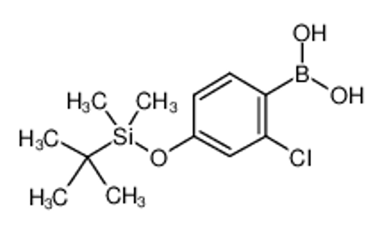 Picture of (4-((tert-Butyldimethylsilyl)oxy)-2-chlorophenyl)boronic acid