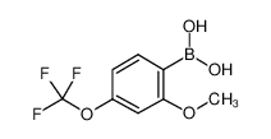 Picture of [2-methoxy-4-(trifluoromethoxy)phenyl]boronic acid