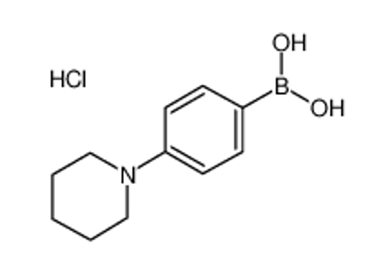 Picture of (4-piperidin-1-ylphenyl)boronic acid,hydrochloride