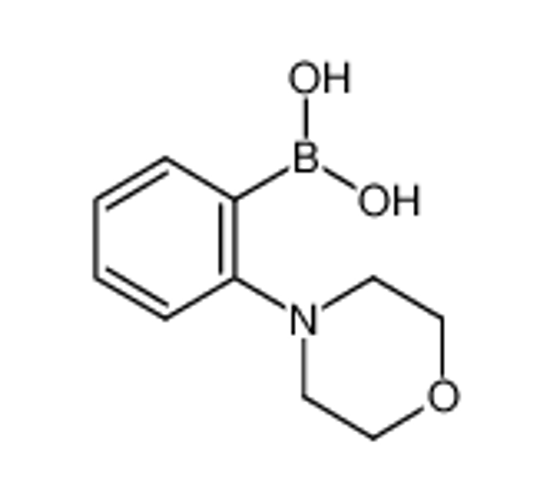Picture of (2-morpholin-4-ylphenyl)boronic acid