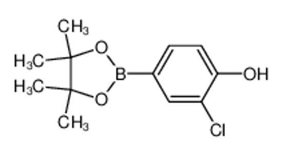 Picture of 3-Chloro-4-hydroxyphenylboronic acid, pinacol ester