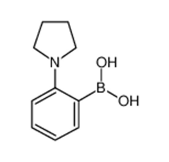 Изображение (2-pyrrolidin-1-ylphenyl)boronic acid